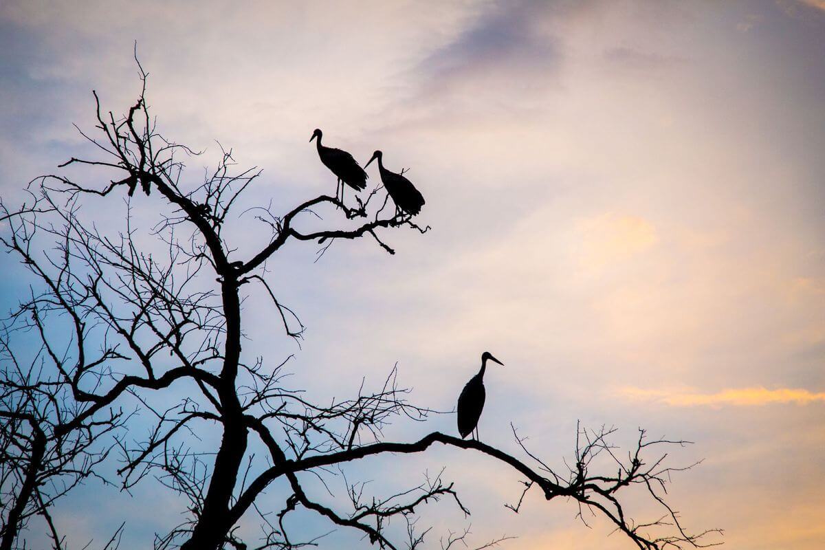 Проект «Краiна»: изучаем Беларусь вместе с «Альфа-Банком»