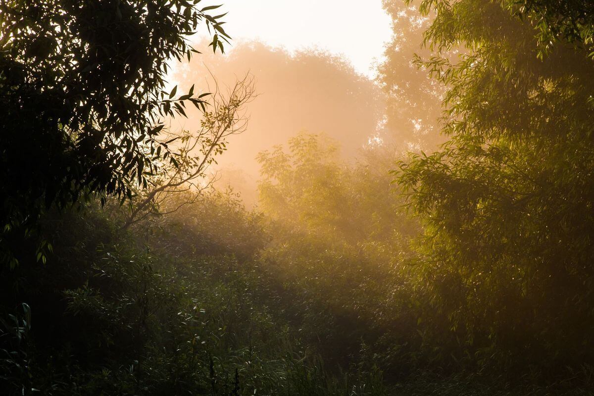 Проект «Краiна»: изучаем Беларусь вместе с «Альфа-Банком»