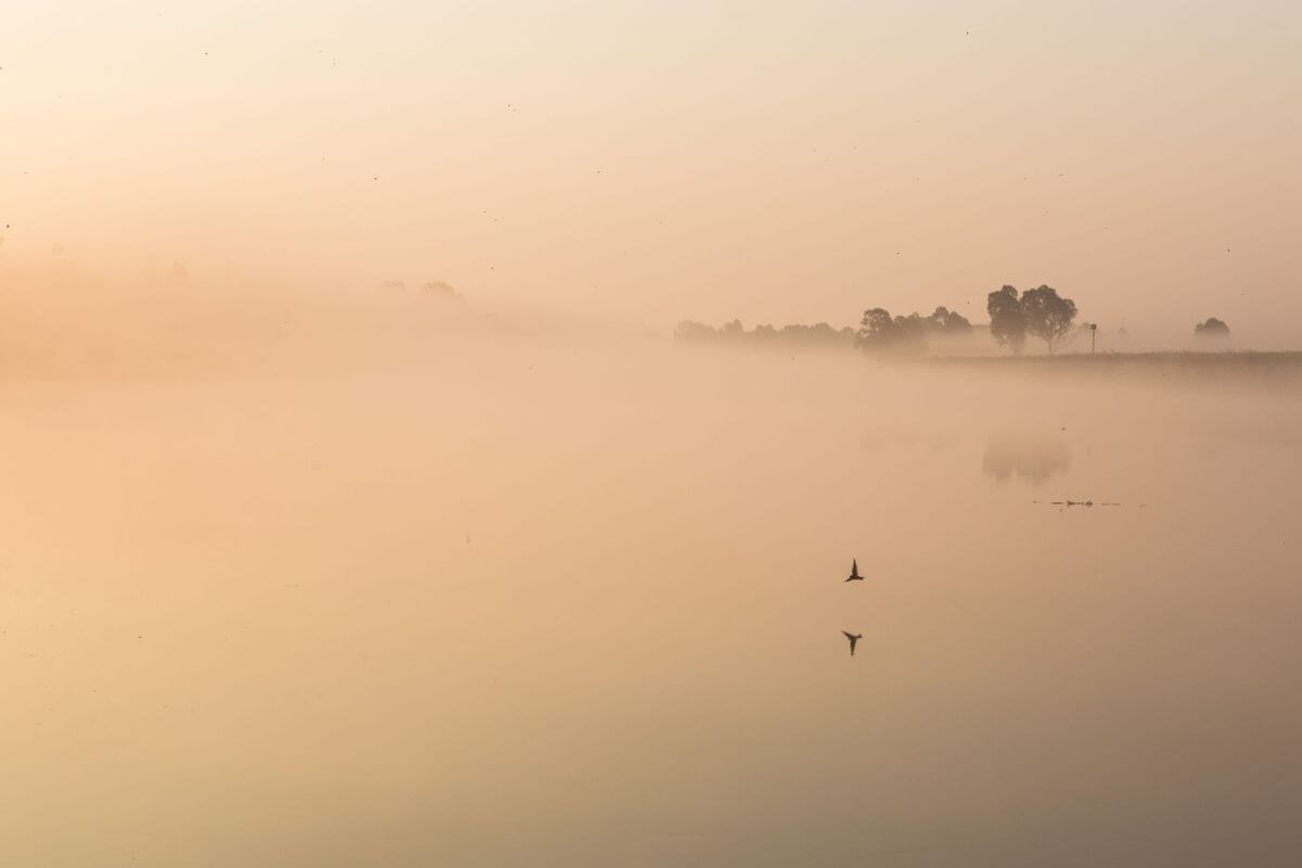 Проект «Краiна»: изучаем Беларусь вместе с «Альфа-Банком»