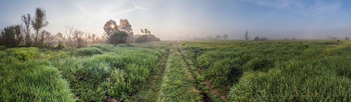 Проект «Краiна»: изучаем Беларусь вместе с «Альфа-Банком»