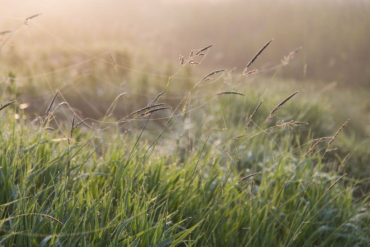 Проект «Краiна»: изучаем Беларусь вместе с «Альфа-Банком»