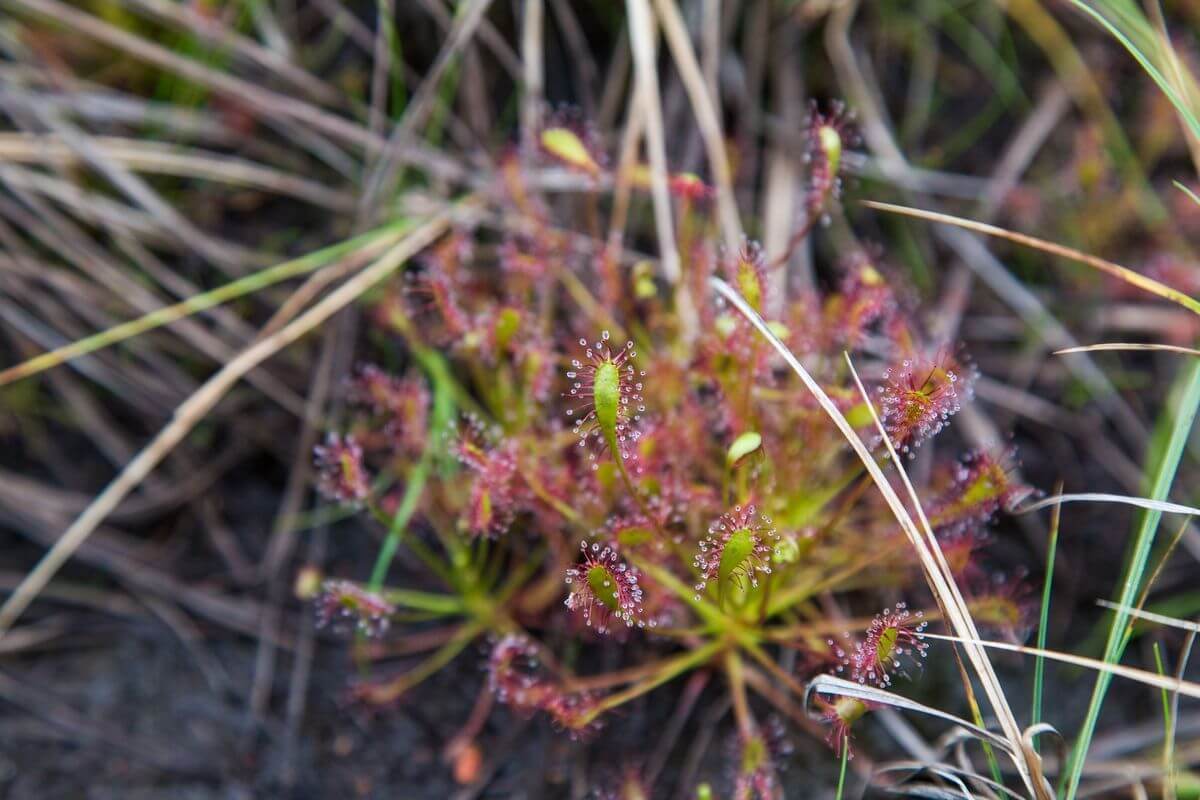 Проект «Краiна»: изучаем Беларусь вместе с «Альфа-Банком»