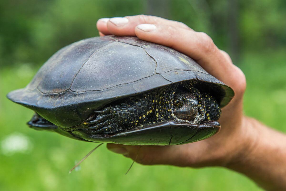 Проект «Краiна»: изучаем Беларусь вместе с «Альфа-Банком»