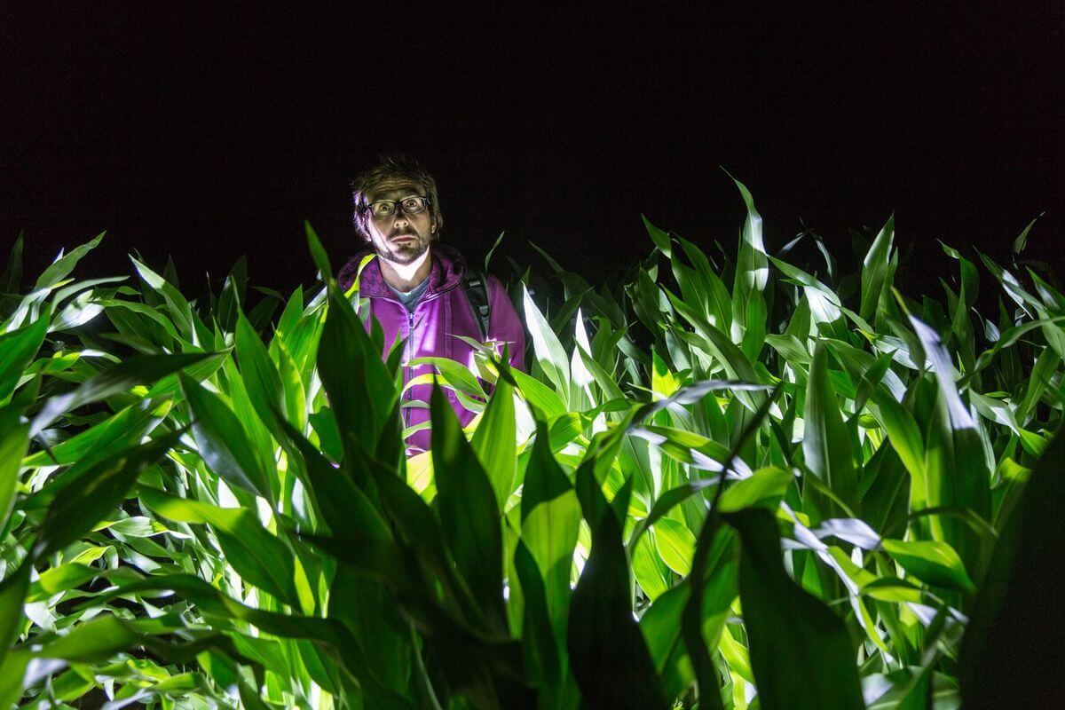 Проект «Краiна»: изучаем Беларусь вместе с «Альфа-Банком»