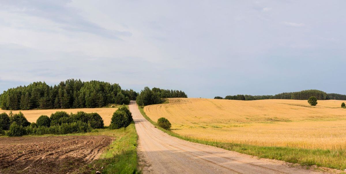 Проект «Краiна»: изучаем Беларусь вместе с «Альфа-Банком»