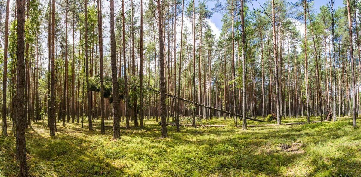 Проект «Краiна»: изучаем Беларусь вместе с «Альфа-Банком»