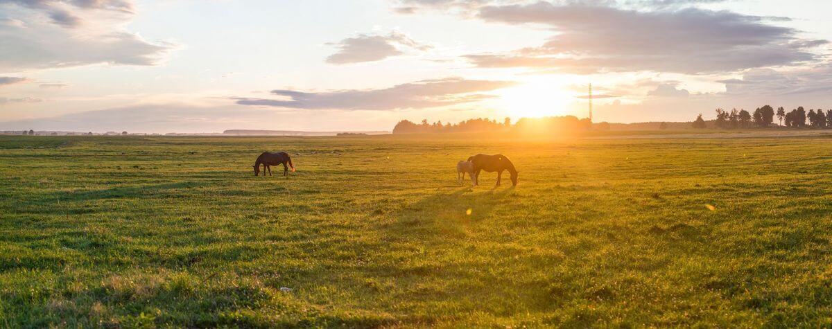 Проект «Краiна»: изучаем Беларусь вместе с «Альфа-Банком»