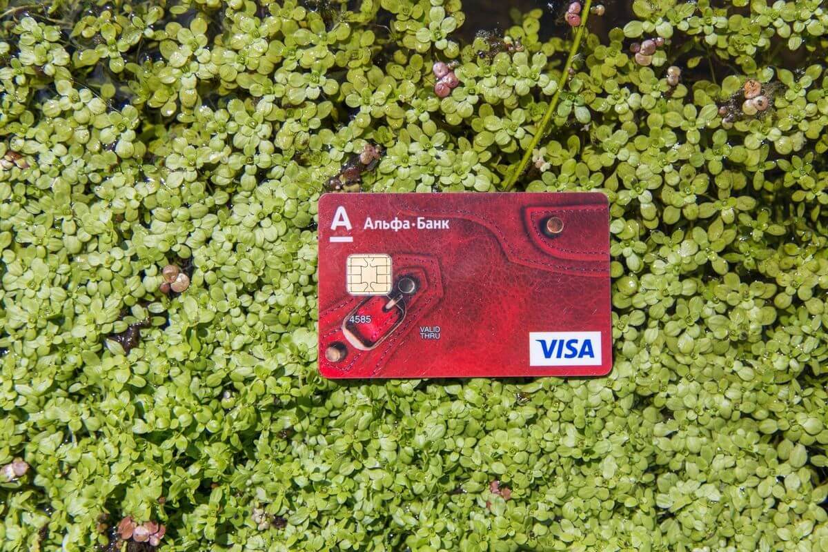 Проект «Краiна»: изучаем Беларусь вместе с «Альфа-Банком»