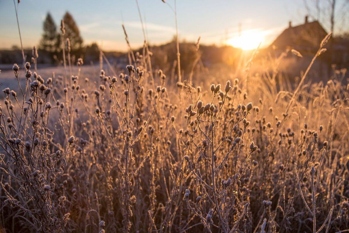 Проект «Краiна»: изучаем Беларусь вместе с «Альфа-Банком»