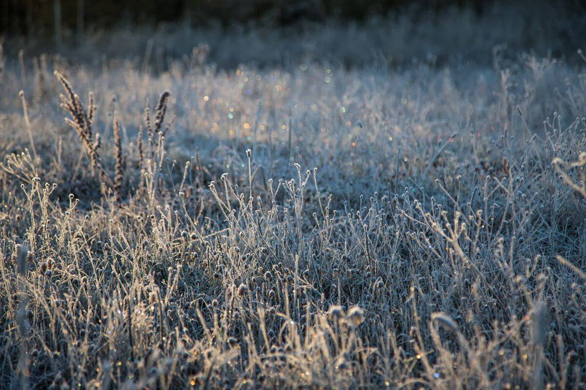 Проект «Краiна»: изучаем Беларусь вместе с «Альфа-Банком»