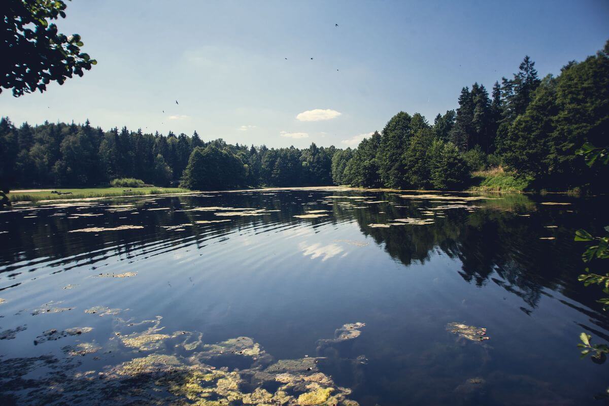 Проект «Краiна»: изучаем Беларусь вместе с «Альфа-Банком»